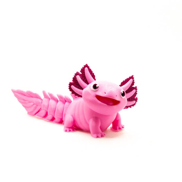 Axolotl (for Aquarium Habitat)