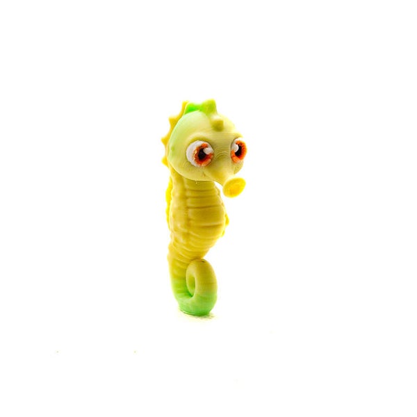 Seahorse (for Aquarium Habitat)