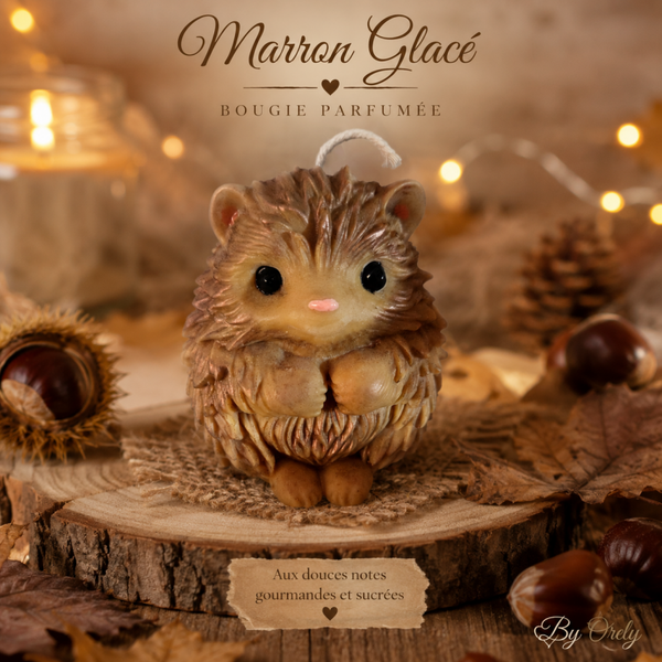 Herisson " marron glacé"