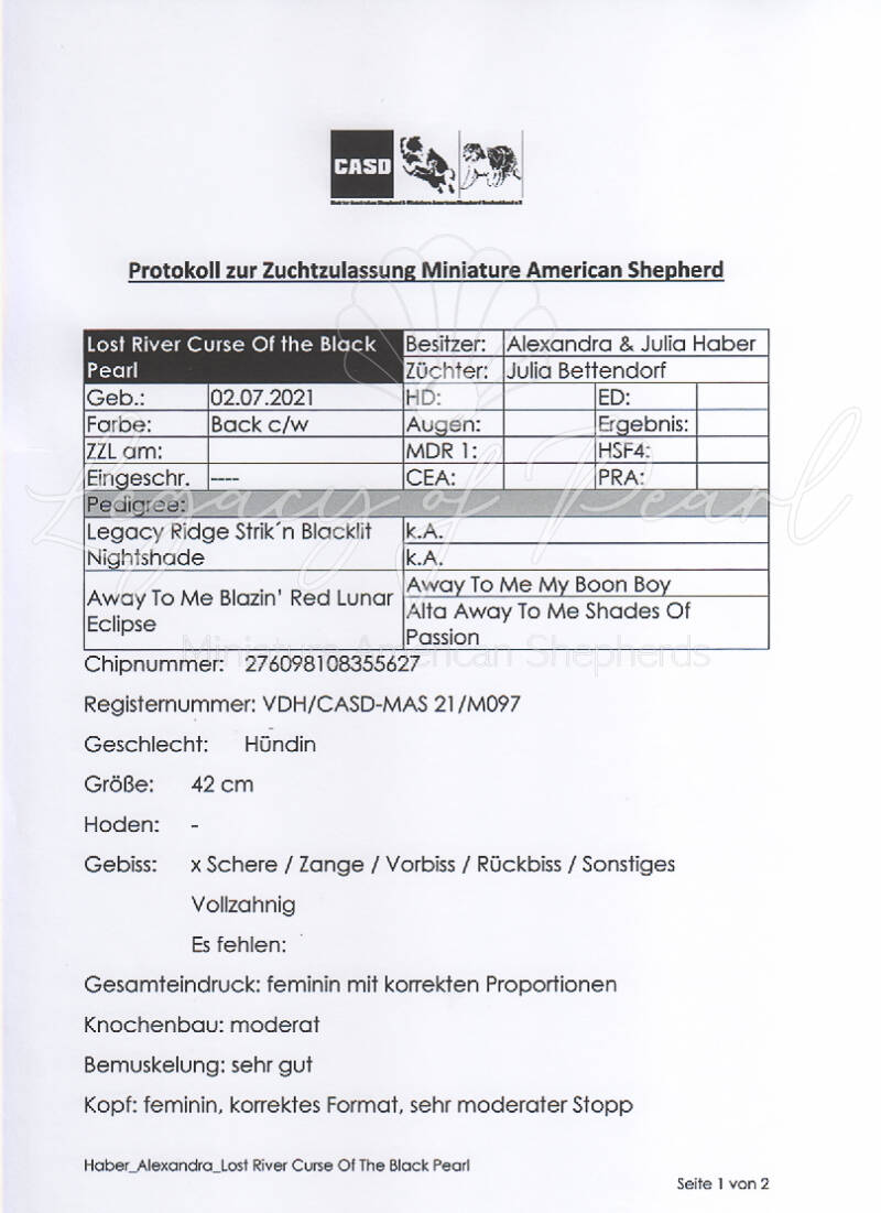 Lost River Curse of the Black Pearl Körbericht