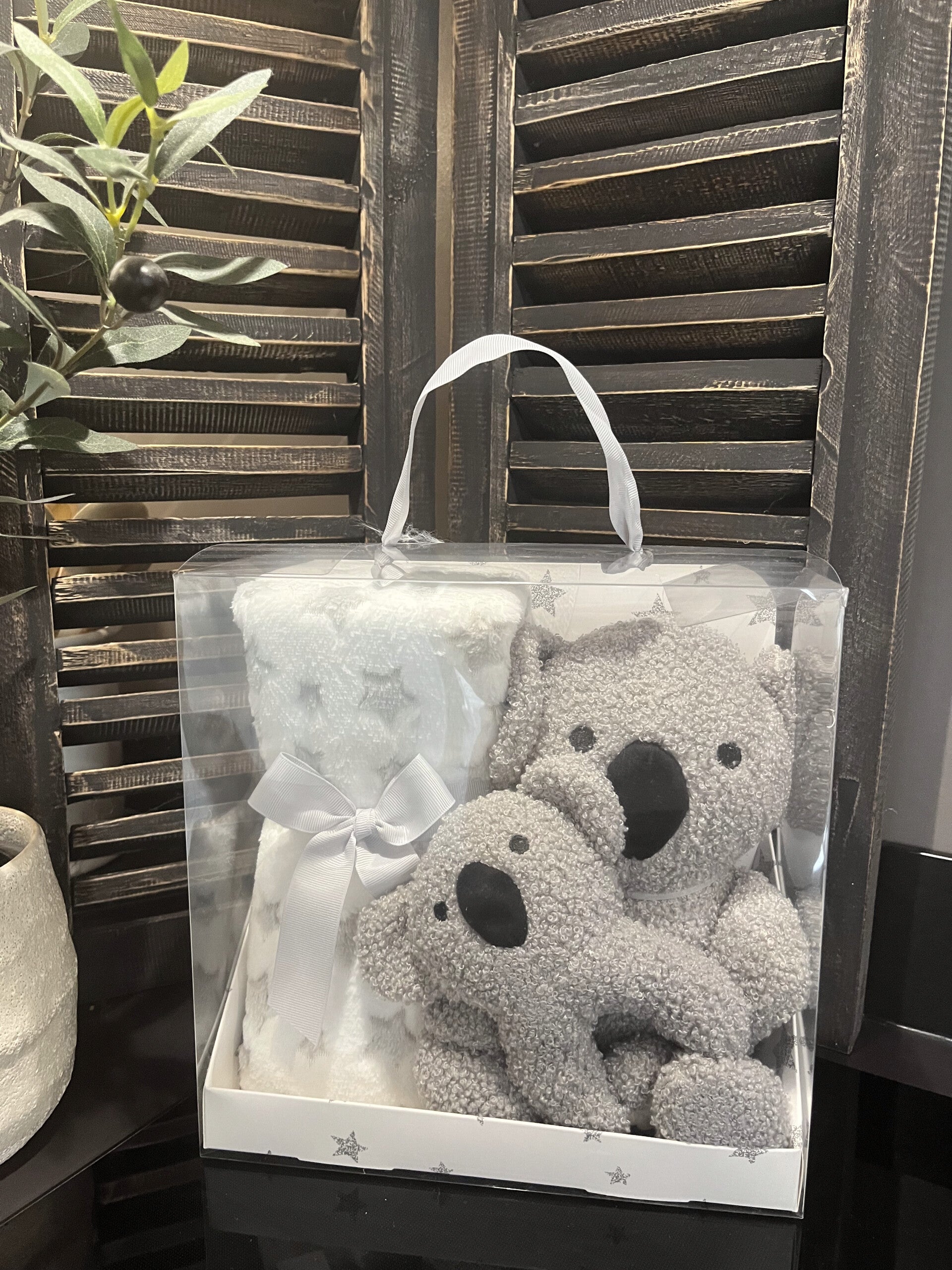 Unique Living Giftbox Baby Surprise Koala