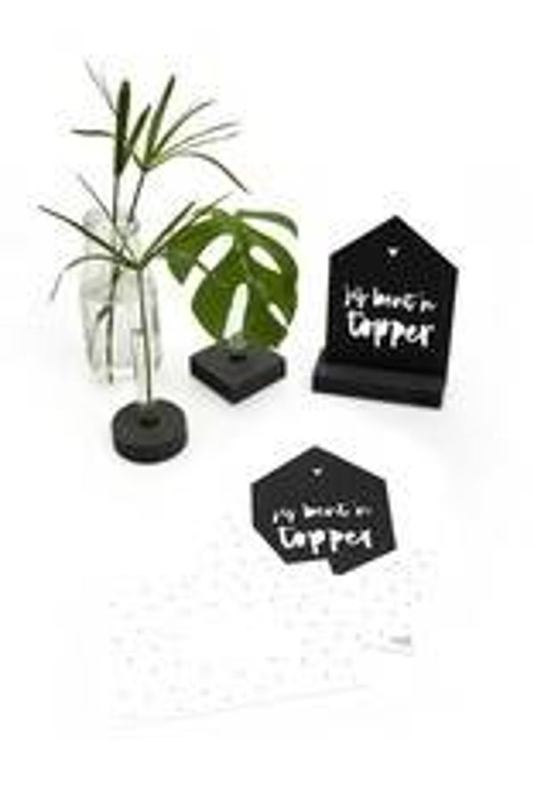 Zoedt zwarte kaart huisje "Jij bent een topper"