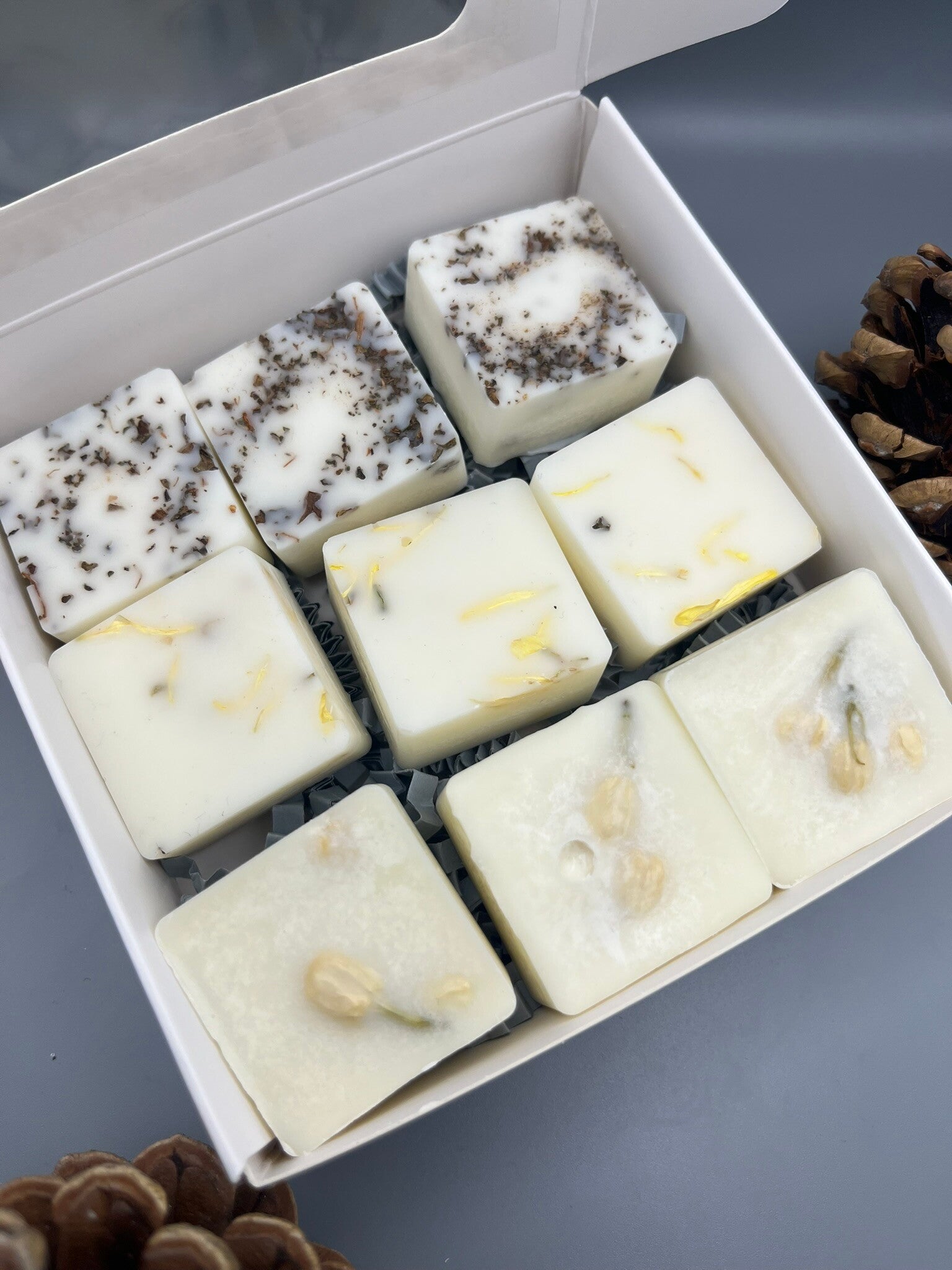 The Autumn Collection