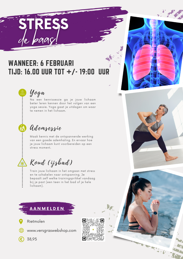 Workshop Stress de Baas