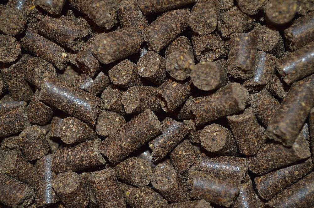 High Energy Hondenvoer - 20 kg