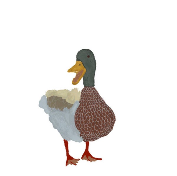 Duck print