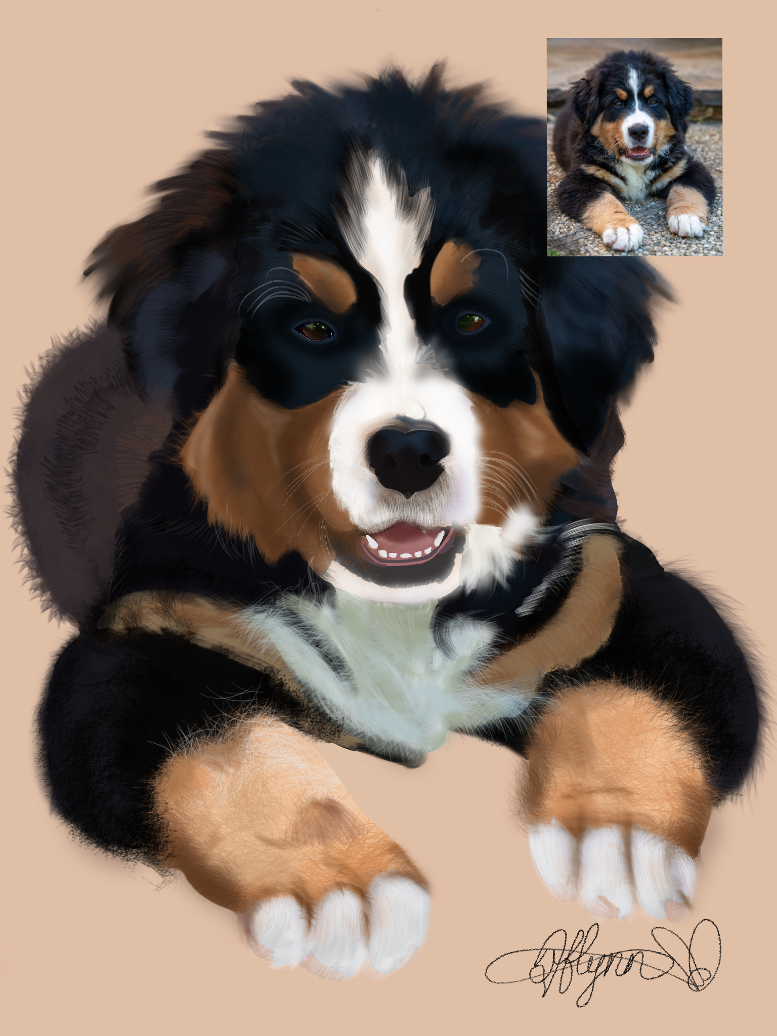 Digital Portrait Commission.