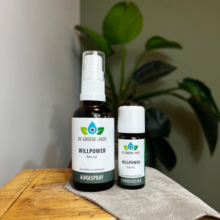 Willpower, Burn out 50ml