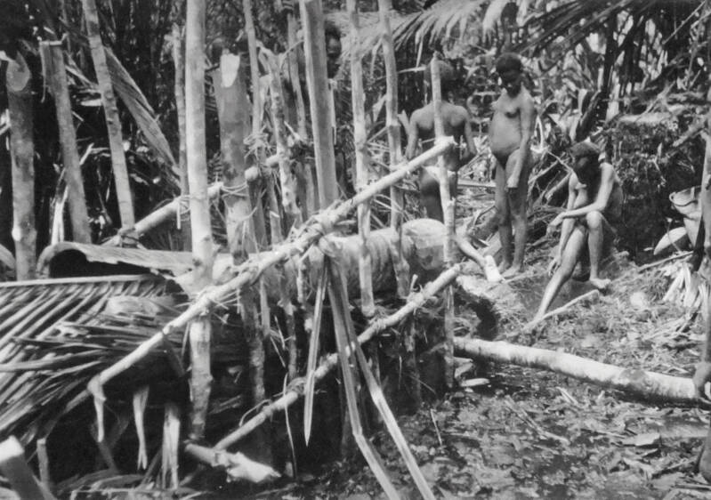 Kees van Kessel  20236 Varkensval en slachterij in het sagobos 