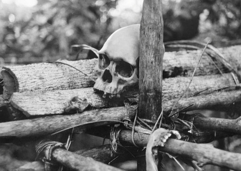 Kees van Kessel 20238 -1240 Schedel kinnebak en wervel liggen te drogen