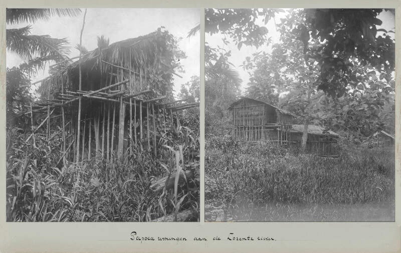 Blad 5 Fotos van de Nieuw-Guinea-expeditie met het bivakschip Zwaluw 1907 