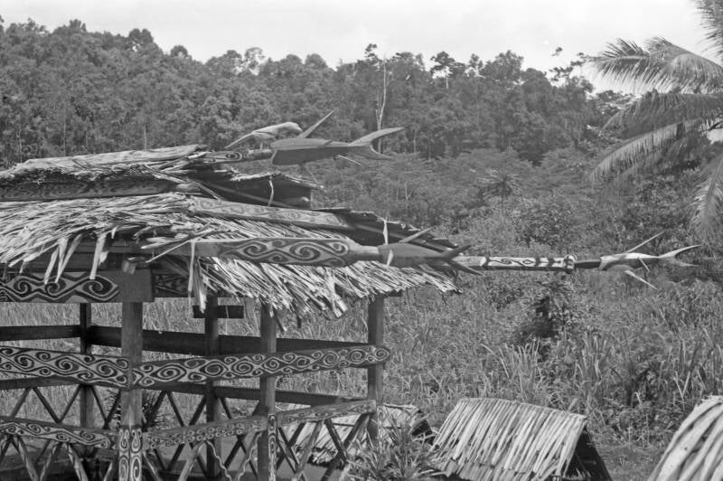 Sentani dodenhuis D69-Map165 Franken film DII no 018