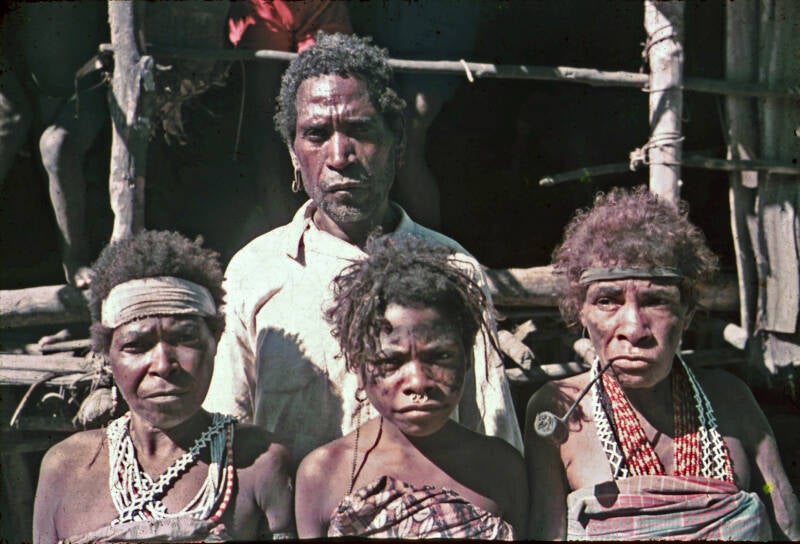 Arfak familie Diapositief Simon Franken BD_145_A2 -75