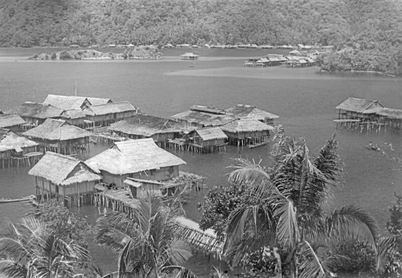 Diversen-Ronsiepi op voorgrond Ambai op achtergrond-006 C Kruikemeier 