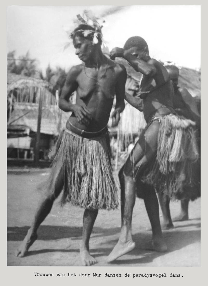 AR-P027 20165-14 Paradijsvogeldans Mur