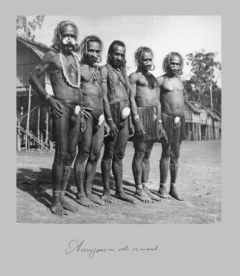 20165-48 Awjoes in vol ornaat