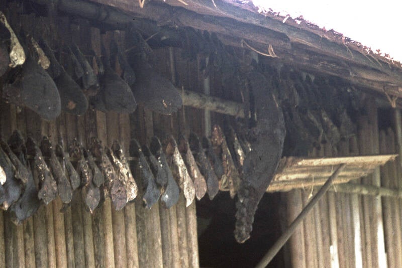 Henny van de Kerkhof - Aboge d2s1 - 037 Jachttrofeeen Kasuarishelmen, varkenskaken en midden boven de ingang een krokodillenstaart 