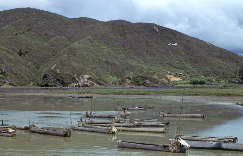 Henny van de Kerkhof  B3s5 - 018 Paniai 