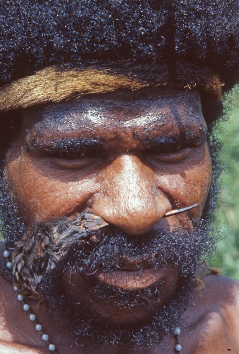 Henny van de Kerkhof - Ilaga d2- 020 Nduga Sicklebill nose ornamentation neusversiering Zwarte sikkelsnavel