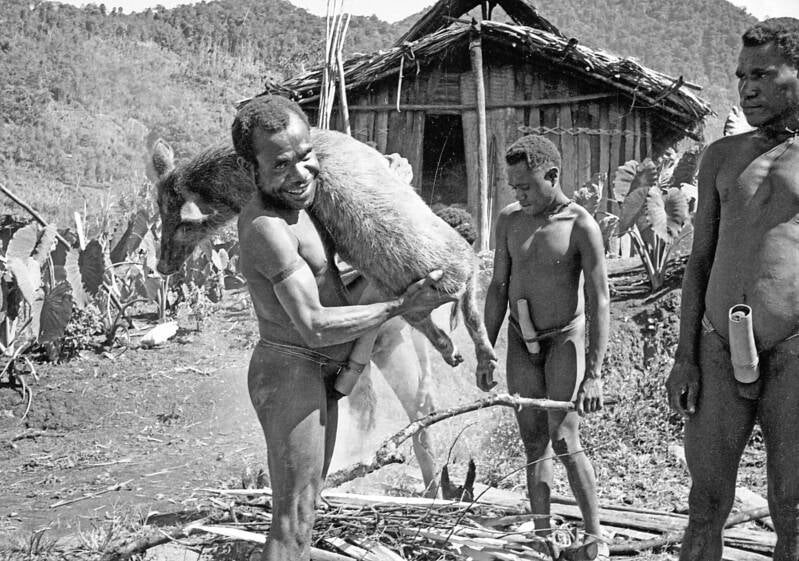 IrianJaya-1-6-022 Timeepa Kamu-vallei Voorbereidingen Varkensfeest - Juwo- haren schroeien Opname Jos Donkers ca 1966 