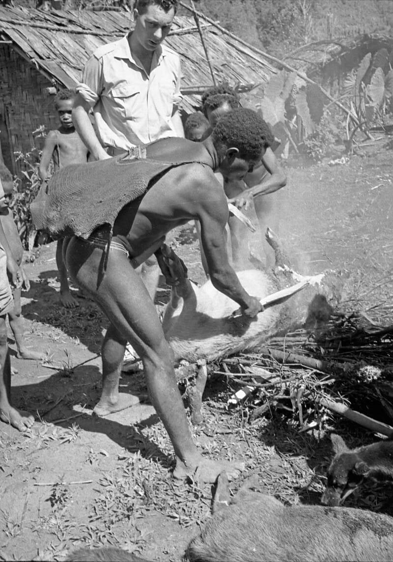 IrianJaya-1-6-024 Timeepa Kamu-vallei - Voorbereidingen Varkensfeest - Juwo- haren verwijderen - Opname Jos Donkers ca 1966 - op de opname staat ook pater OFM Joop Sierat afgebeeld