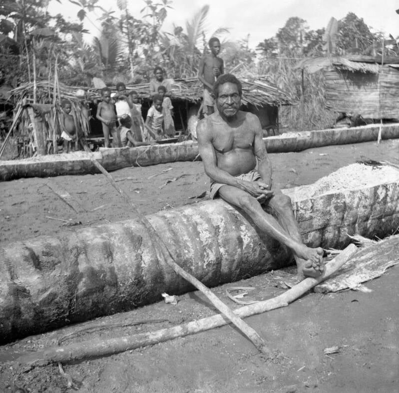 IrianJaya-3-229-012 Sago oogst 