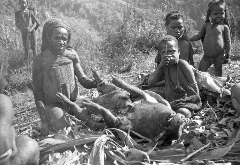 Varkensfeest te Bilorai, Intan Jaya 1963. Negatieven IrianJaya1-66-007