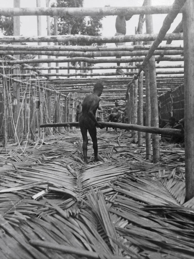 Kees van Kessel K389 Sagobladeren als eerste vloerbedekking - bouw mannenhuis - jö - jeu