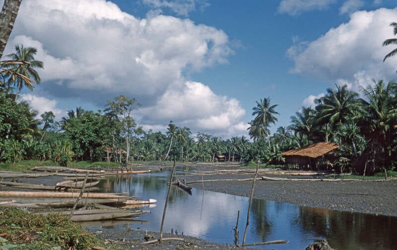 Krosschell JM Nieuw-Guinea IV   029b Serie Casuarinekust april/mei 1960 Ocenep Asmat Kasuarinenkust