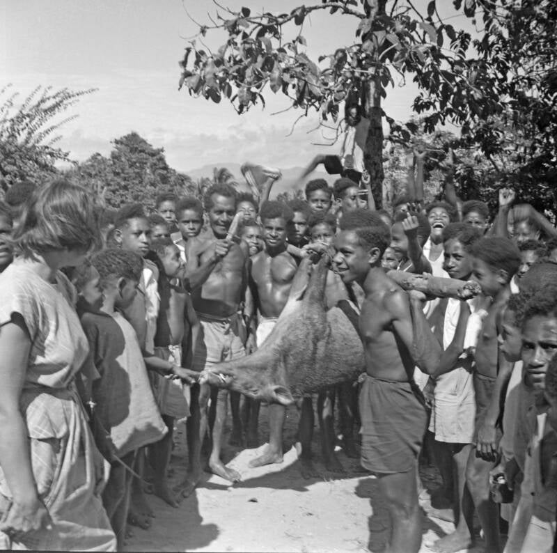 Na de varkensjacht PKN diapositief DSC_8147