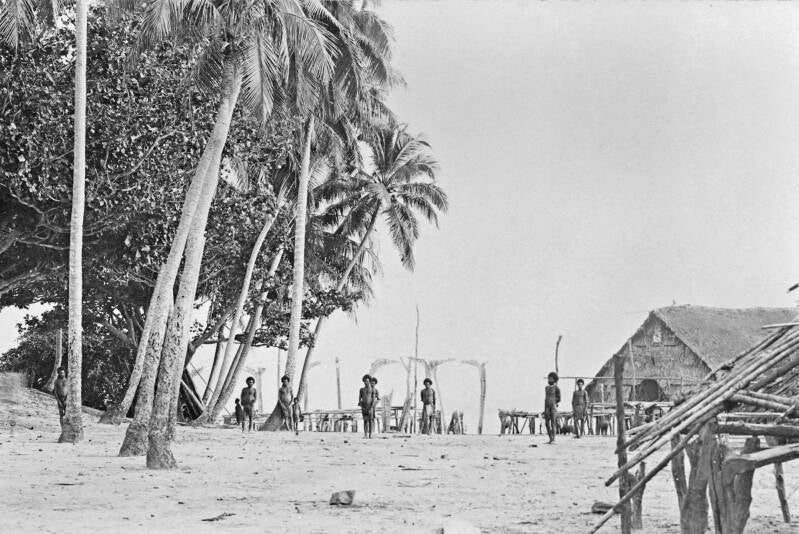 Restant oud huis -stijlen en wortels bewerkt (huispalen)- aan Sentanimeer PKN diapositief DSC_7688