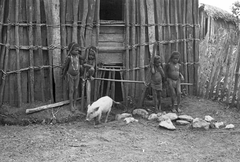 Steltenpool IrianJaya1-80-020 Waghete Deiyai Kapuaku meisjes bij hun huis ca 1957