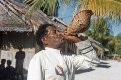 Foto Piet ter Laag