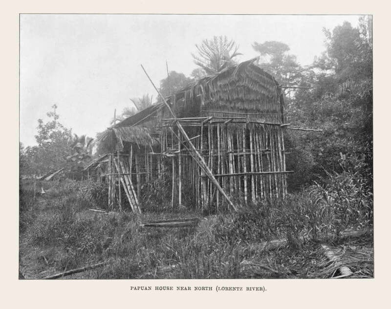Uit Expedition to the snow mountains Lorentz 1909-1910 Papuan house near north (Lorentz river) Utrechts Archief