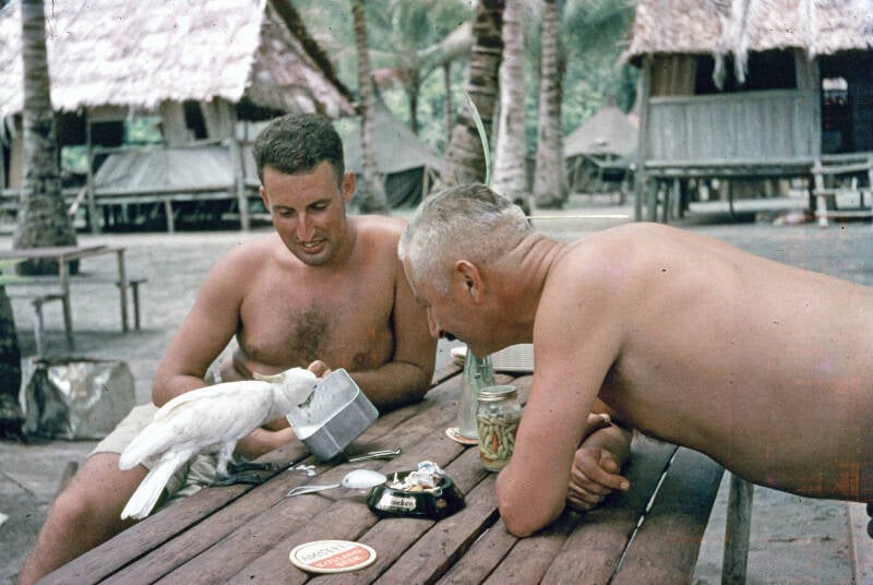 Vuuren-1-2-002b Kaimana 1959 Van Vuuren voert een kaketoe 