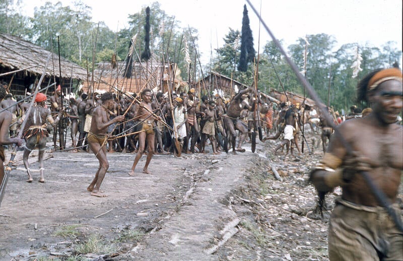 Bisj ceremonieel Sjoeroe (Sjuru; Syuru) 1956/1957 - Asmat 42 De mannen hebben nu de paal met veel krachtsinspanning voor het mannenhuis weten te brengen- Het gevecht is nu afgelopen- ze hebben hun mannenhuis heroverd