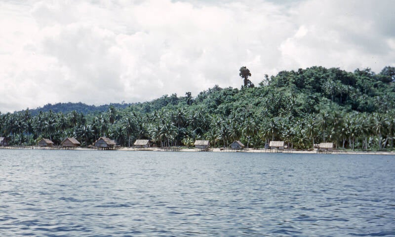 Woldendorp 1-3-060 Arefi 1957 