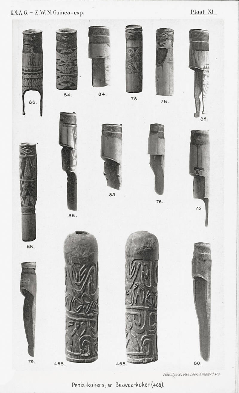 Zuidwest Nieuw-Guinea Expeditie 1904-1905  Ethnografica Plaat XI  Peniskokers van de Kamoro