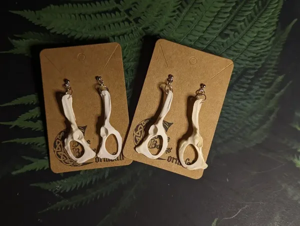 Squirrel pelvis earrings