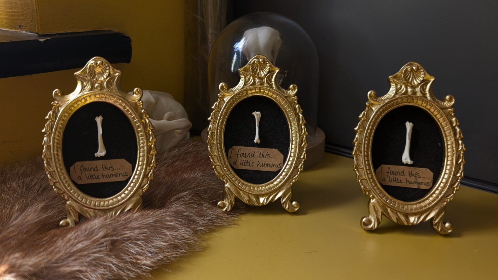 "I found this humerus" frames