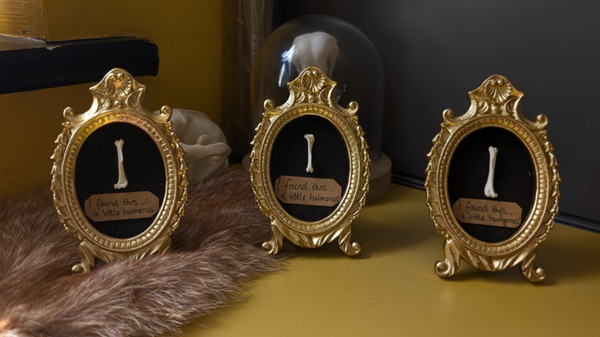 "I found this humerus" frames