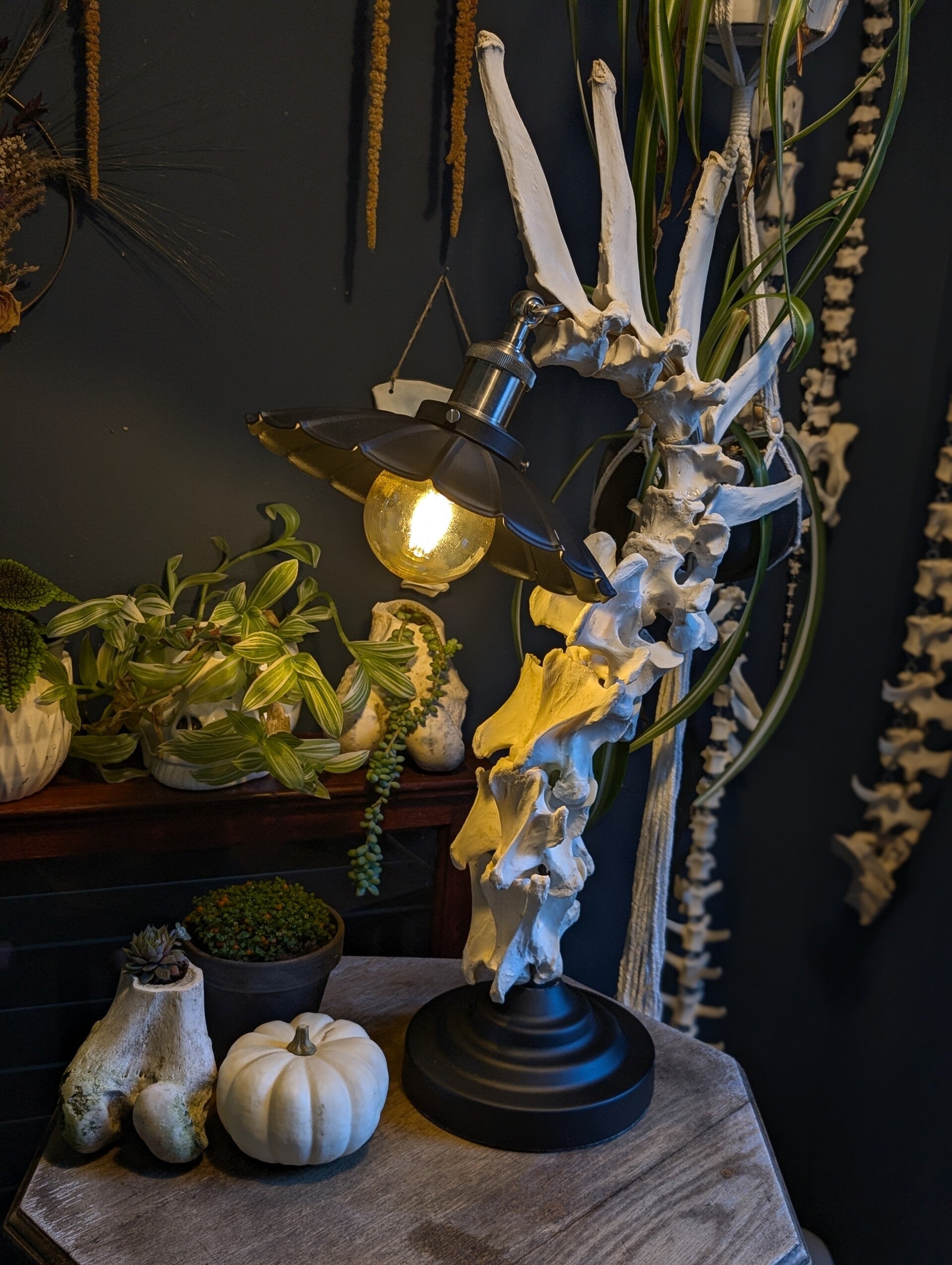 Large stag spine lamp