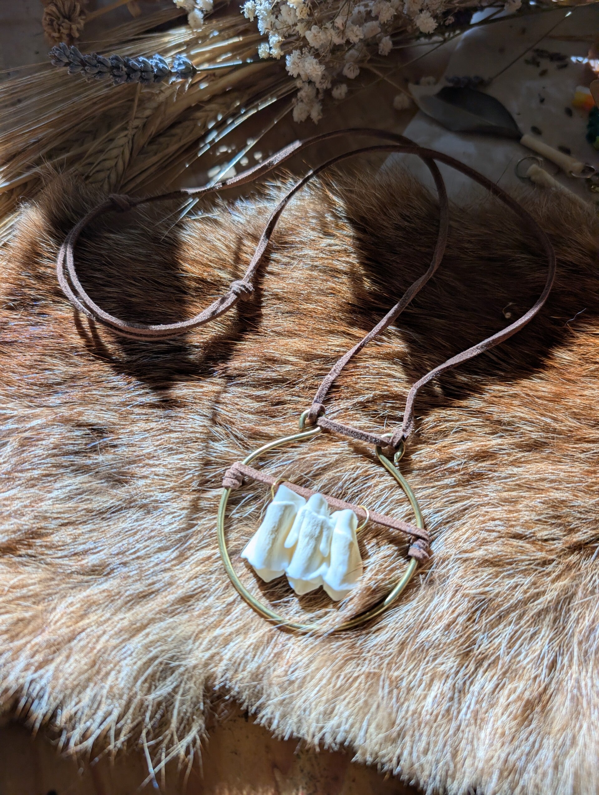 Cow tooth