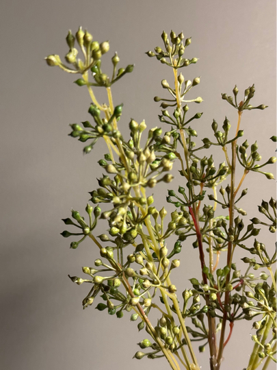 Kunst prunus groen - 55cm - 3 takjes