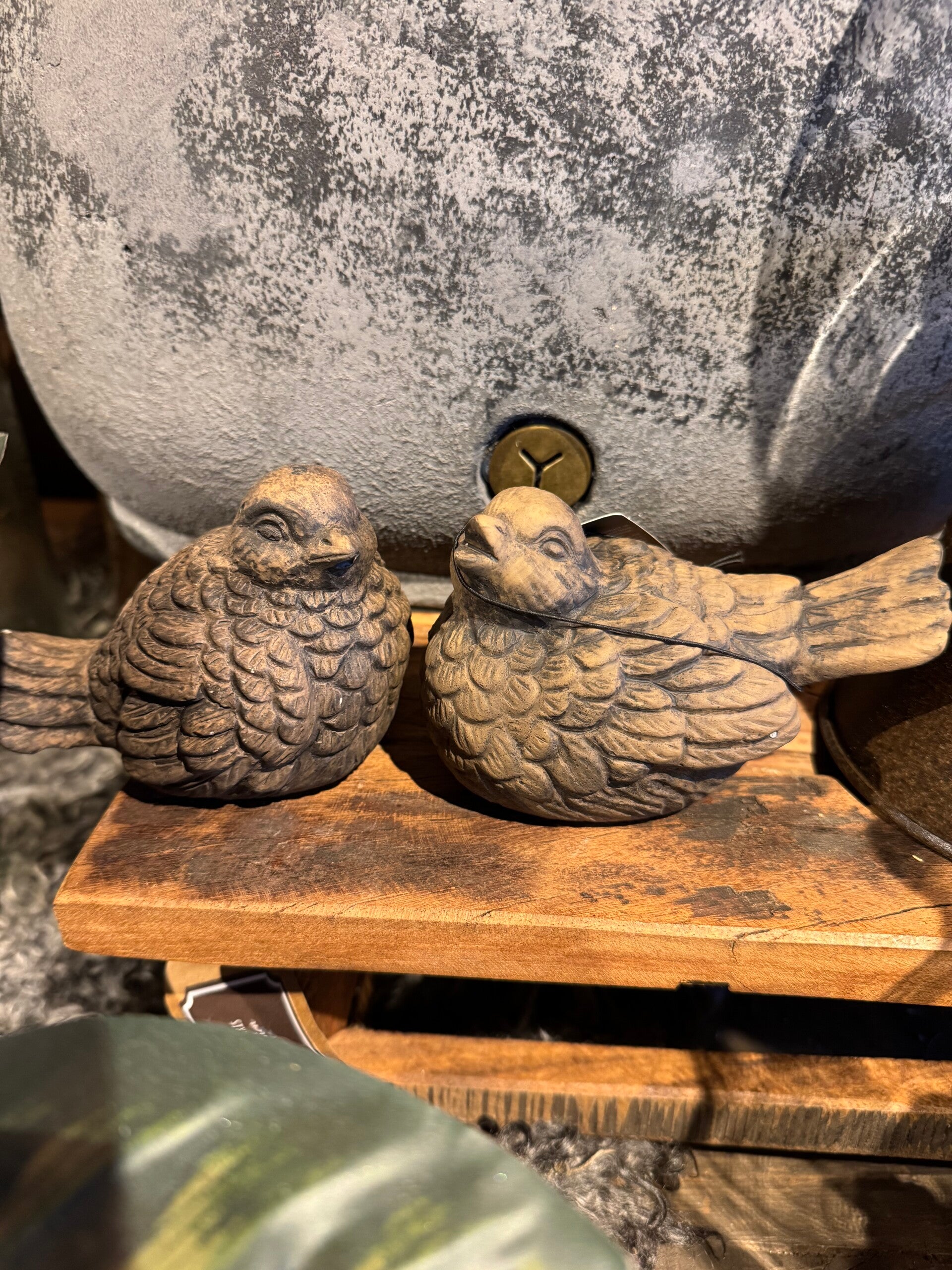 Brynxz vogel set van 2