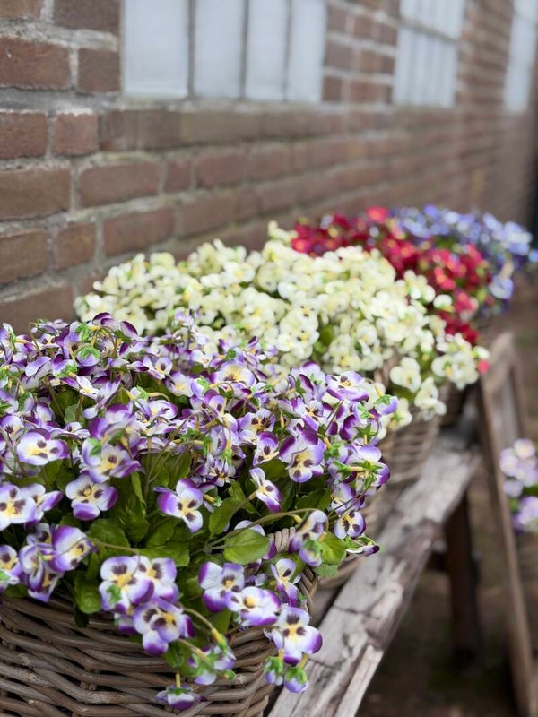 Kunst viooltjes - kunst viool 4 kleuren