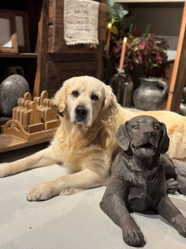 Golden Retriever beeld “Tommie”