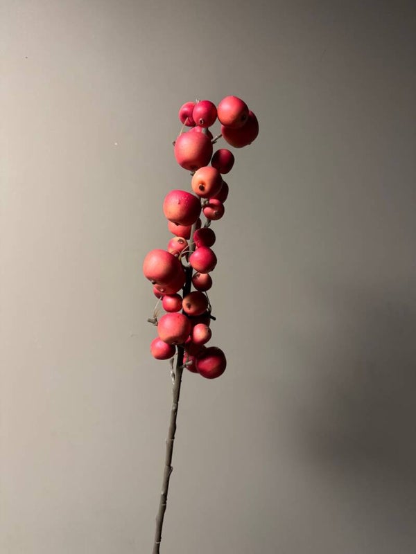 Kunst appel malus tak L - 67cm