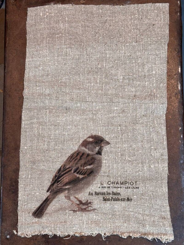 Shabby doek - musje - kleur