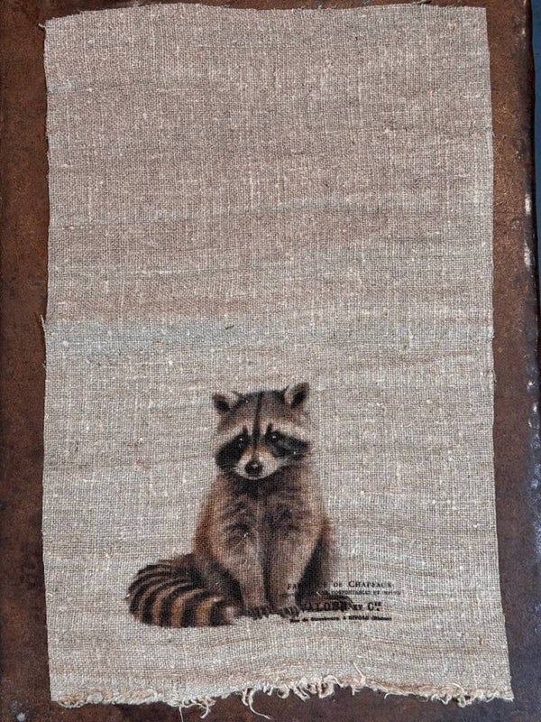 Shabby doek - wasbeertje - kleur
